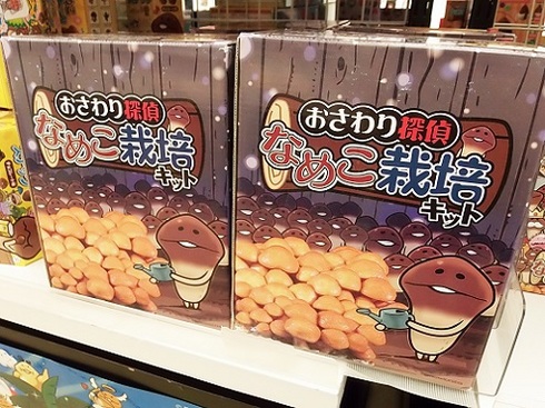 201308-20.JPG