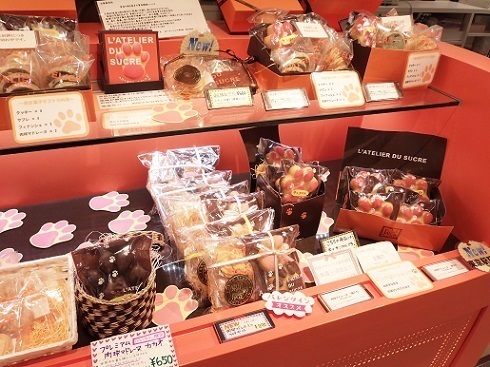 201601-9.JPG